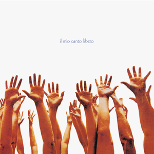 91久久国产老熟女
