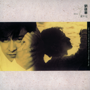 91久久国产老熟女
