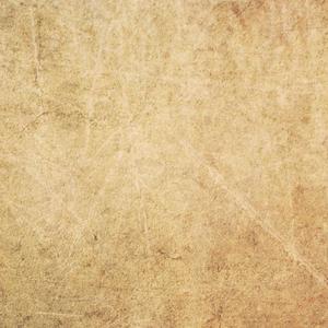 91久久国产老熟女
