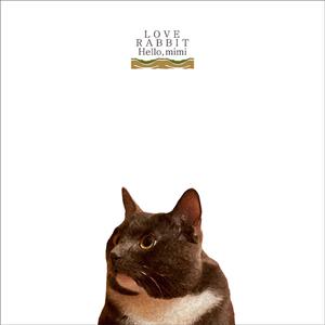 91久久国产老熟女
